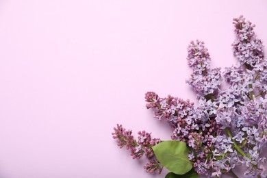 Photo of Beautiful lilac flowers on pink background, flat lay. Space for text