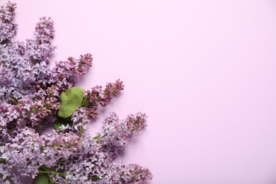 Photo of Beautiful lilac flowers on pink background, flat lay. Space for text