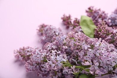 Photo of Beautiful lilac flowers on pink background, closeup