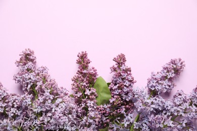 Photo of Beautiful lilac flowers on pink background, flat lay. Space for text