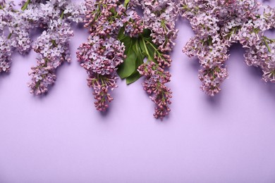 Photo of Beautiful lilac flowers on color background, flat lay. Space for text