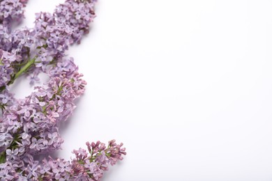 Photo of Beautiful lilac flowers on white background, flat lay. Space for text