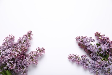Photo of Beautiful lilac flowers on white background, flat lay. Space for text