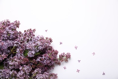 Photo of Beautiful lilac flowers on white background, flat lay. Space for text