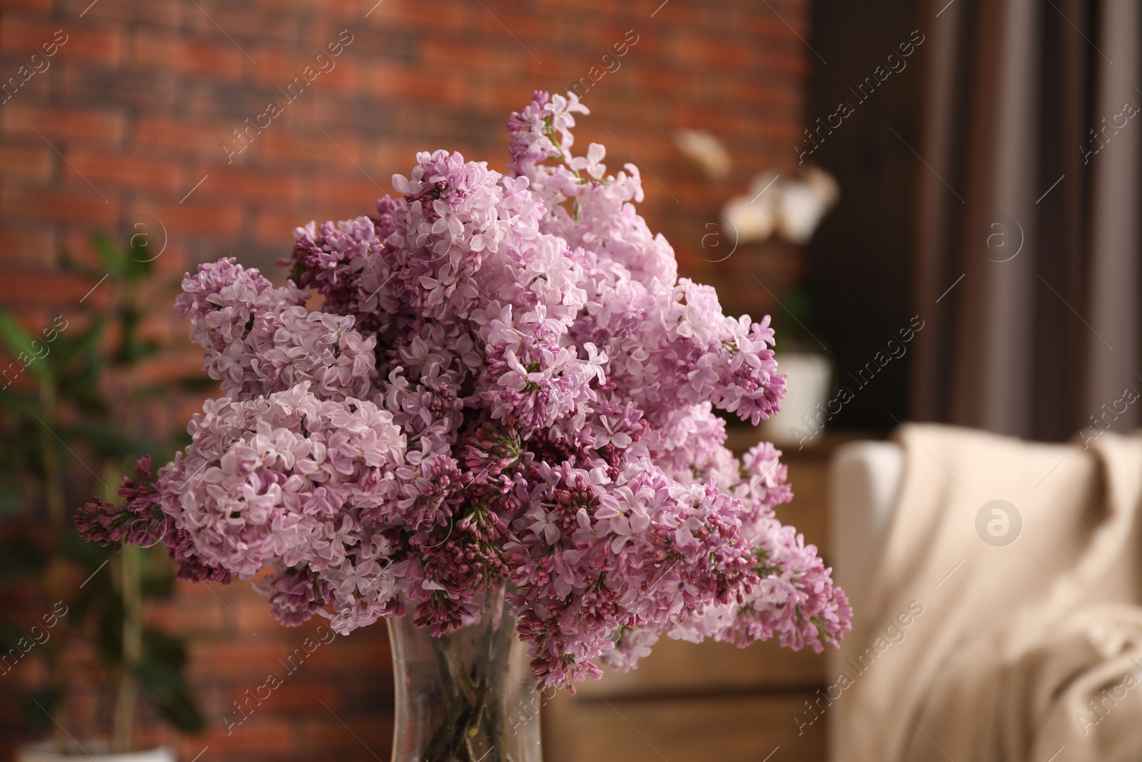 Beautiful lilac flowers in vase indoors, closeup Photo of Beautiful lilac flowers in vase indoors, closeup