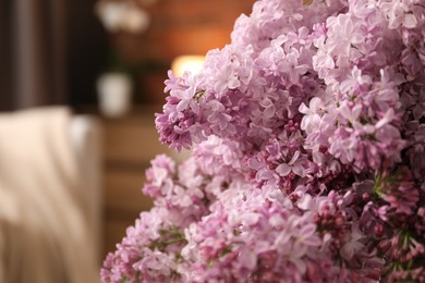 Photo of Beautiful lilac flowers at home, closeup. Space for text