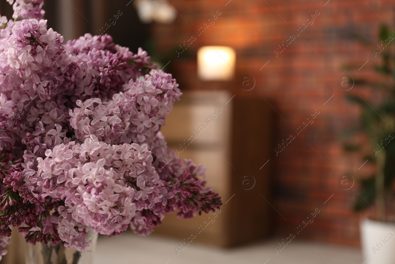 Beautiful lilac flowers at home, closeup. Space for text Photo of Beautiful lilac flowers at home, closeup. Space for text