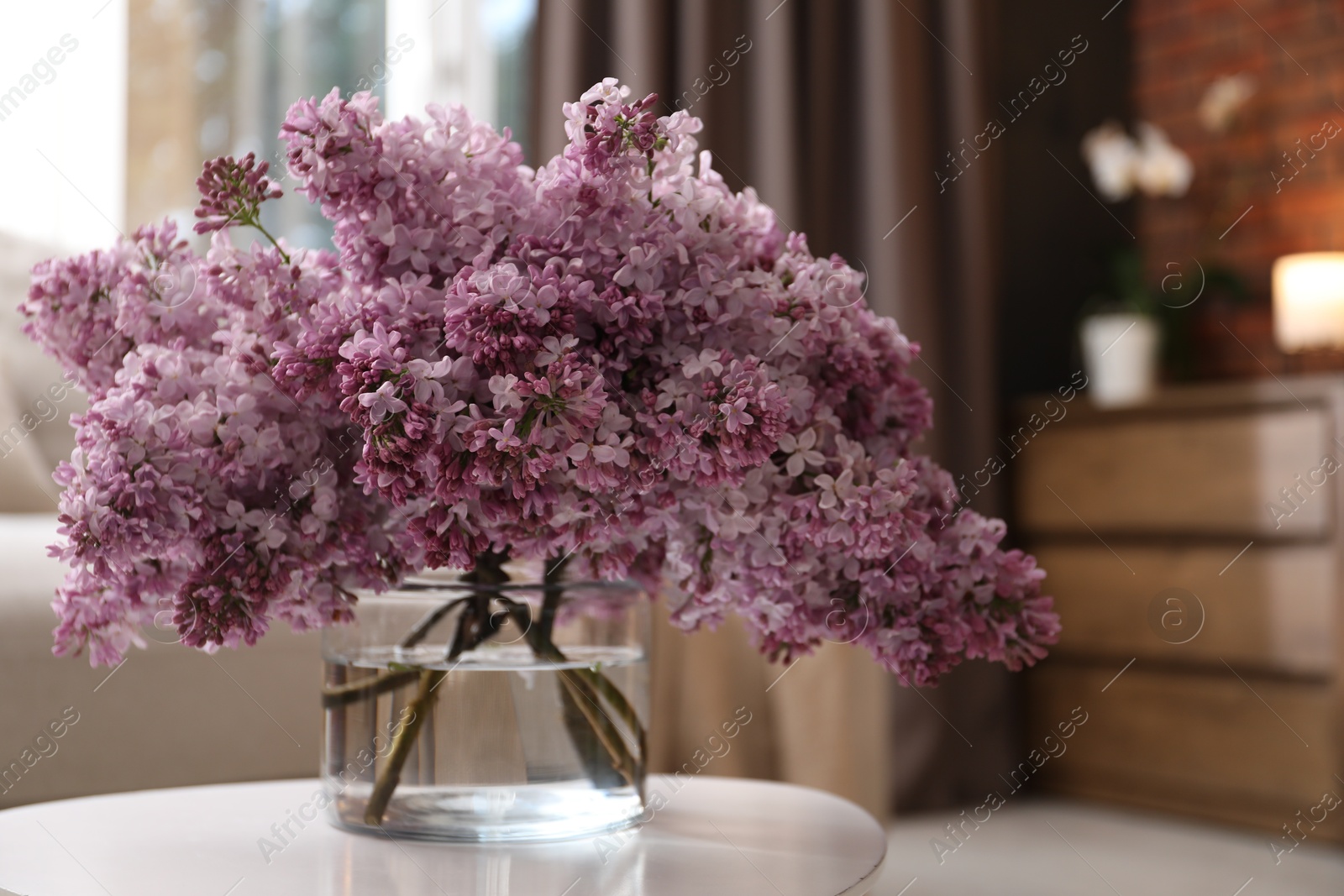 Beautiful lilac flowers in vase on table indoors Photo of Beautiful lilac flowers in vase on table indoors