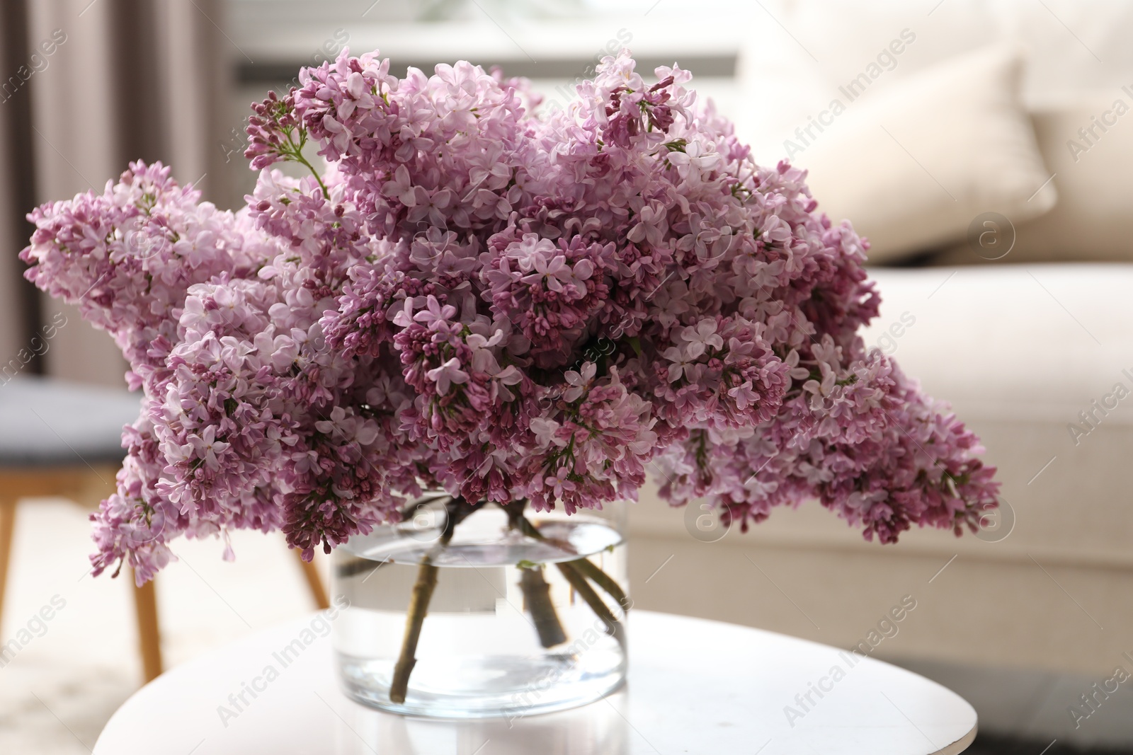 Beautiful lilac flowers in vase on table indoors Photo of Beautiful lilac flowers in vase on table indoors