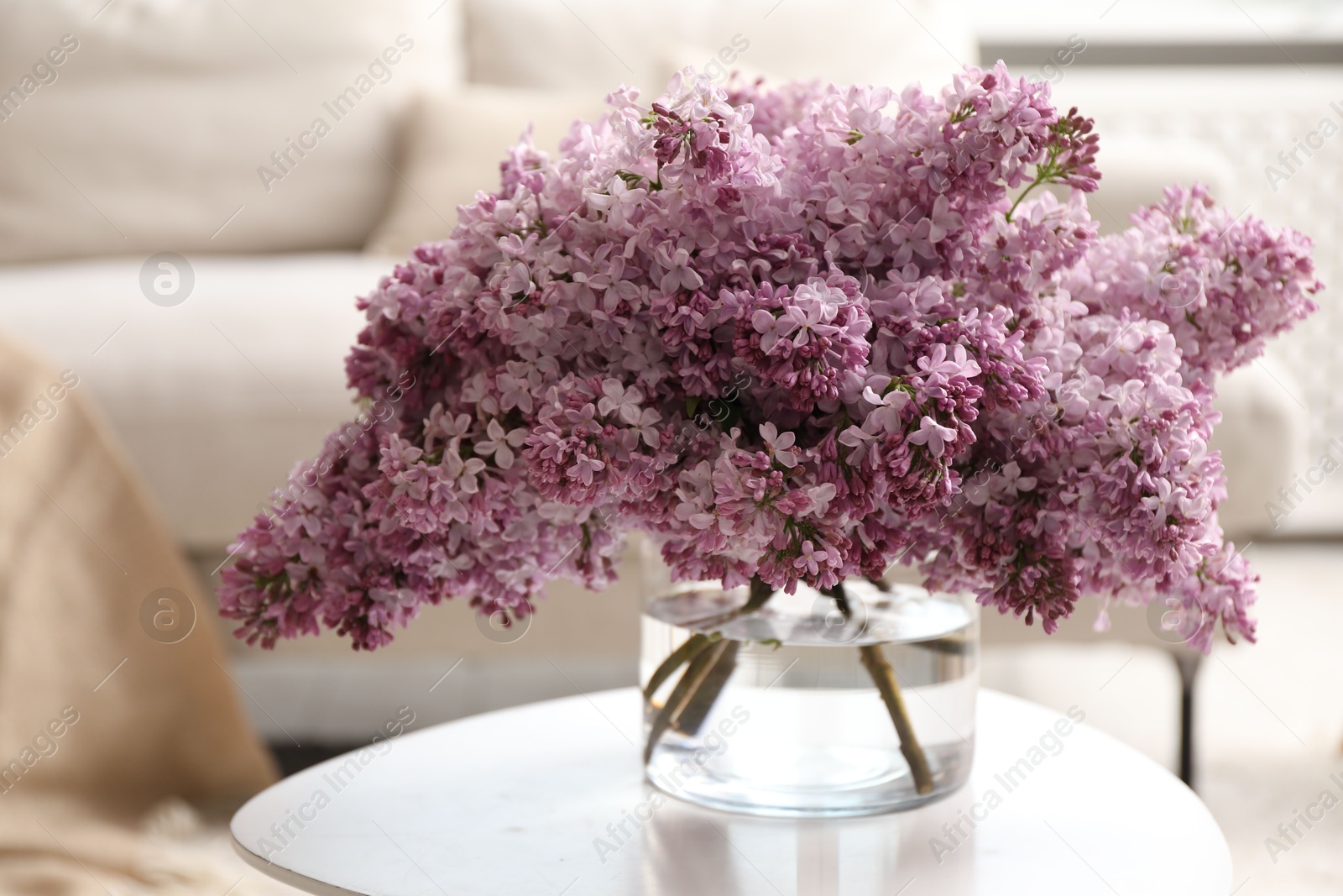 Beautiful lilac flowers in vase on table indoors Photo of Beautiful lilac flowers in vase on table indoors