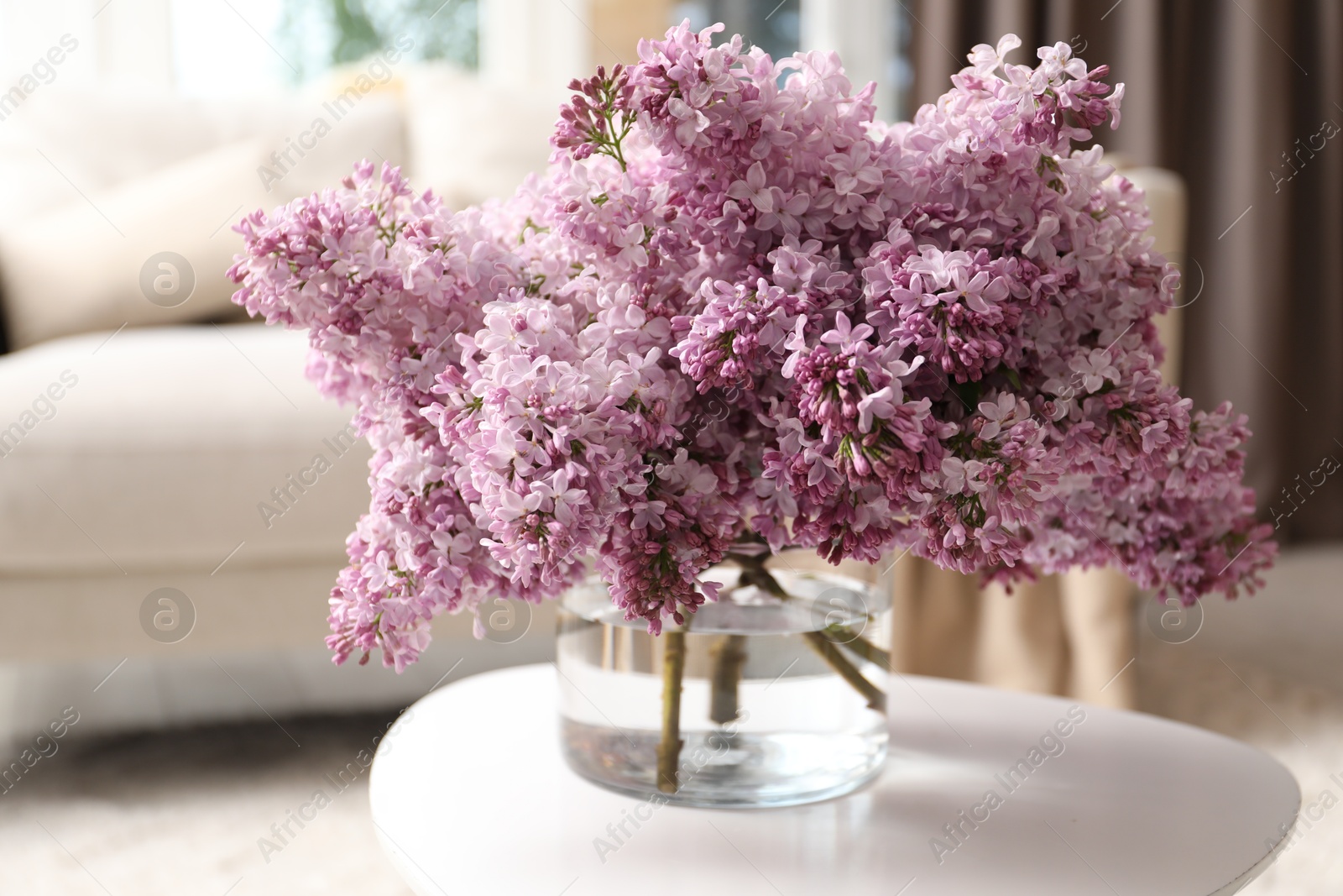 Beautiful lilac flowers in vase on table indoors Photo of Beautiful lilac flowers in vase on table indoors