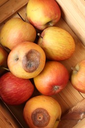 Photo of Damaged and rotten apples in wooden crate, closeup