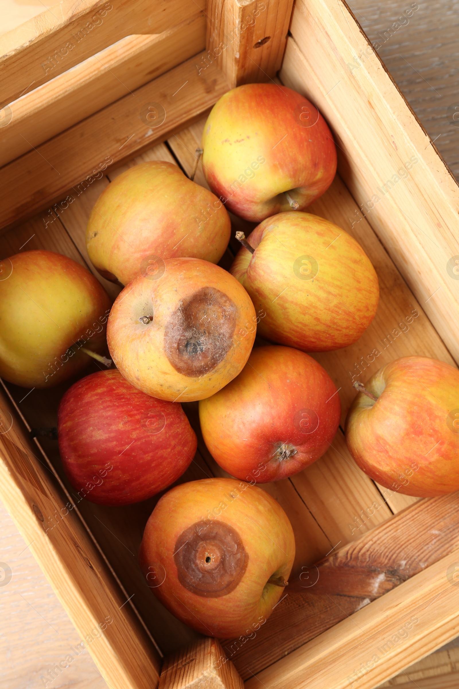 Damaged and rotten apples in wooden crate on table, top view Photo of Damaged and rotten apples in wooden crate on table, top view