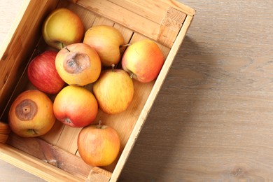 Photo of Damaged and rotten apples in wooden crate on table, top view. Space for text