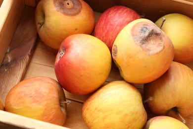 Photo of Damaged and rotten apples in wooden crate, closeup