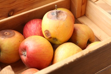 Photo of Damaged and rotten apples in wooden crate, closeup