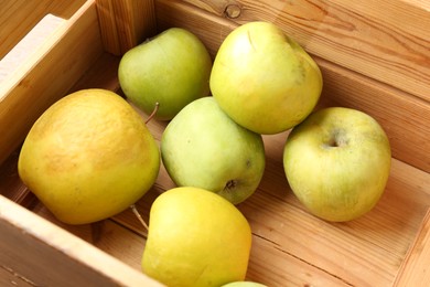 Photo of Damaged green apples in wooden crate, closeup
