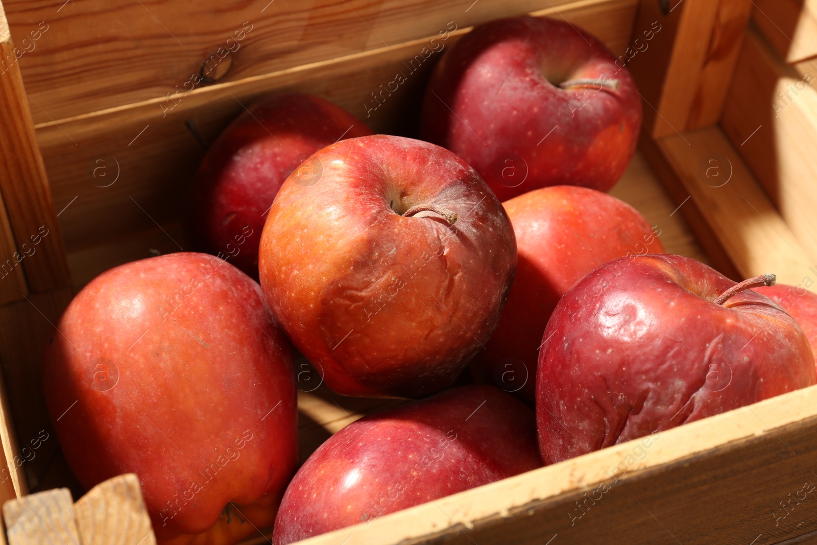 Damaged red apples in wooden crate, closeup Photo of Damaged red apples in wooden crate, closeup