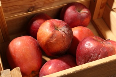 Photo of Damaged red apples in wooden crate, closeup