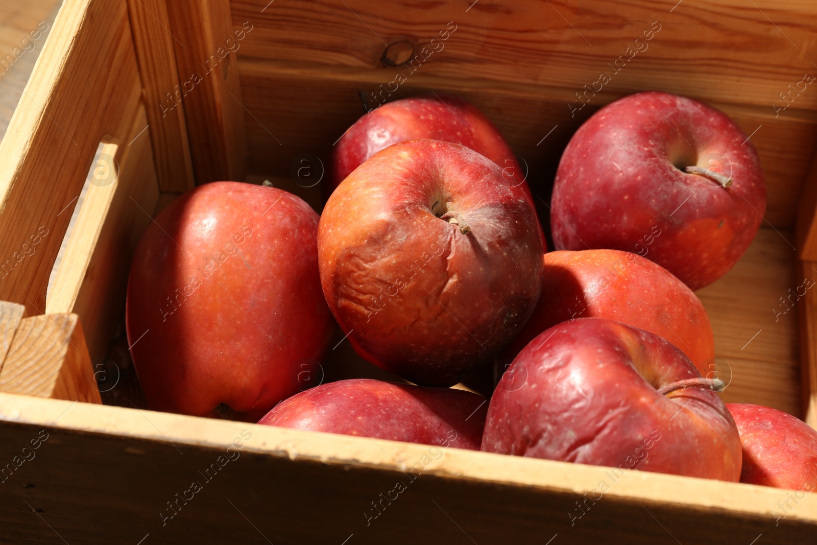 Damaged red apples in wooden crate, closeup Photo of Damaged red apples in wooden crate, closeup