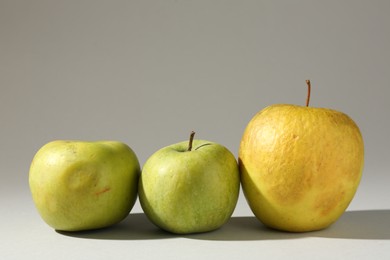 Photo of Damaged green apples on light grey background. Space for text