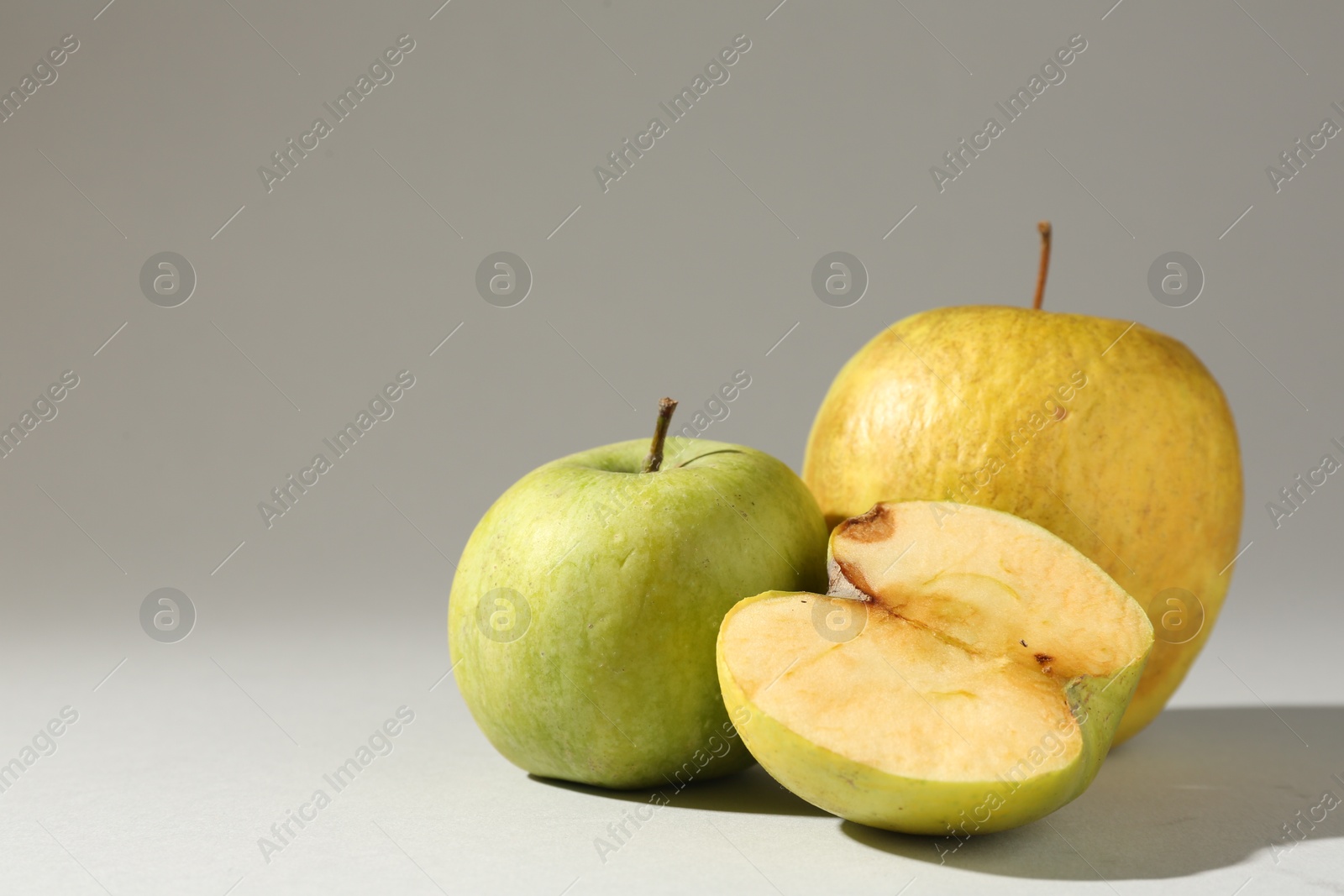Damaged green apples on light grey background. Space for text Photo of Damaged green apples on light grey background. Space for text