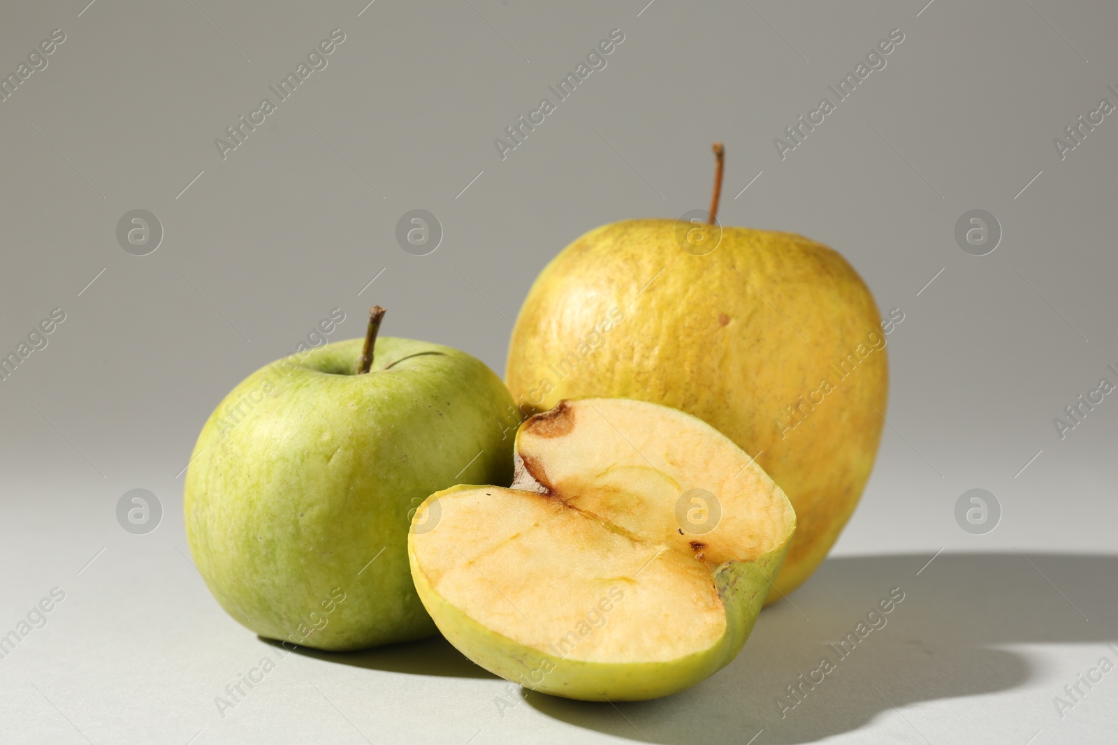 Damaged green apples on light grey background Photo of Damaged green apples on light grey background