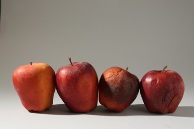 Photo of Damaged red apples on light grey background