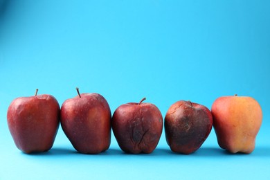 Photo of Damaged red apples on light blue background. Space for text