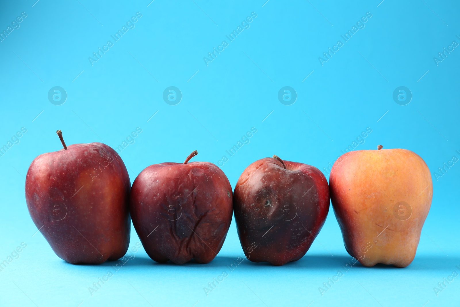 Damaged red apples on light blue background. Space for text Photo of Damaged red apples on light blue background. Space for text