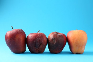 Photo of Damaged red apples on light blue background. Space for text