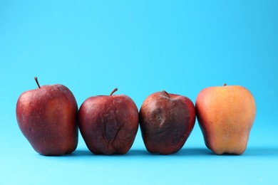 Photo of Damaged red apples on light blue background. Space for text