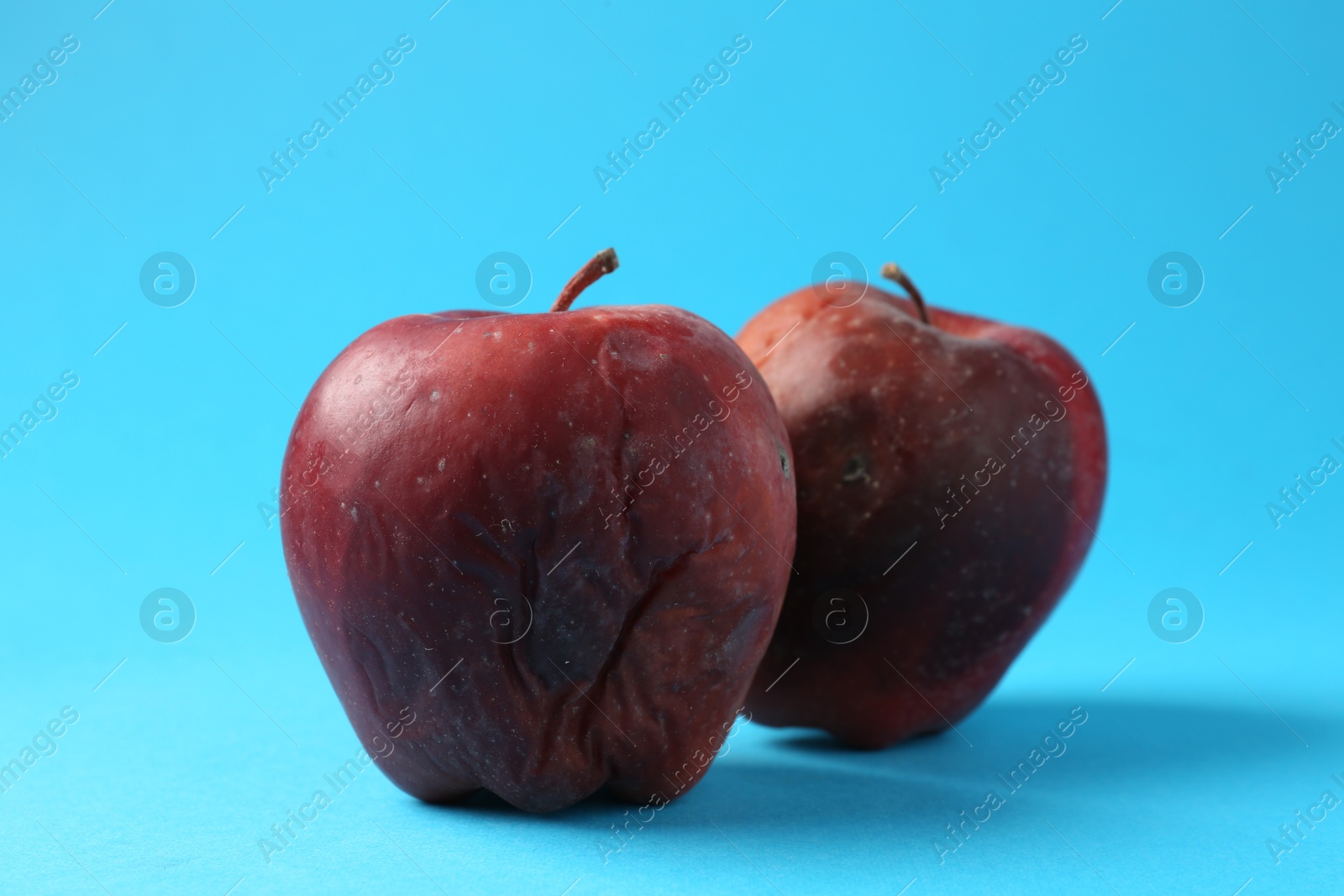 Damaged red apples on light blue background Photo of Damaged red apples on light blue background