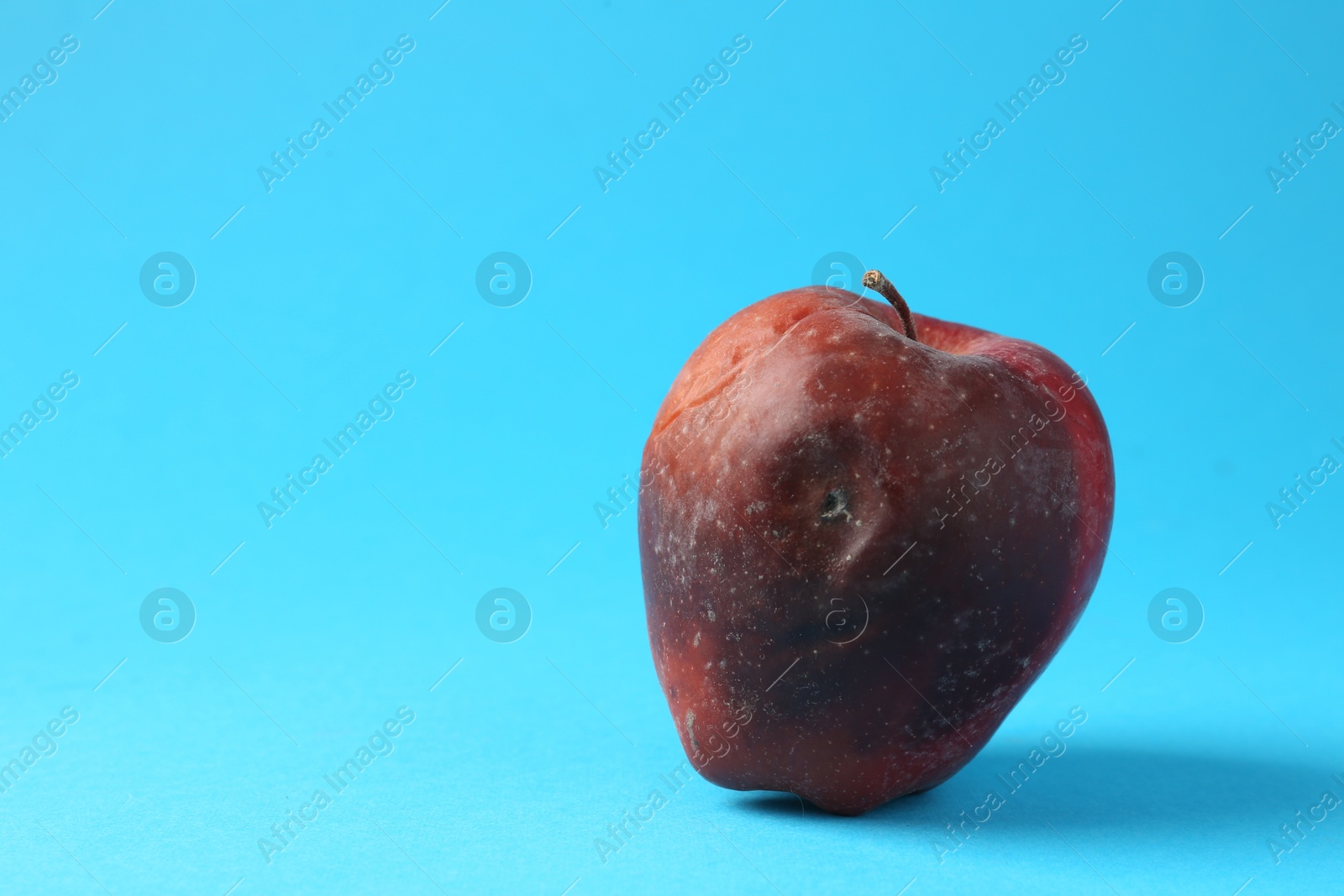 One rotten red apple on light blue background. Space for text Photo of One rotten red apple on light blue background. Space for text