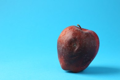 Photo of One rotten red apple on light blue background. Space for text