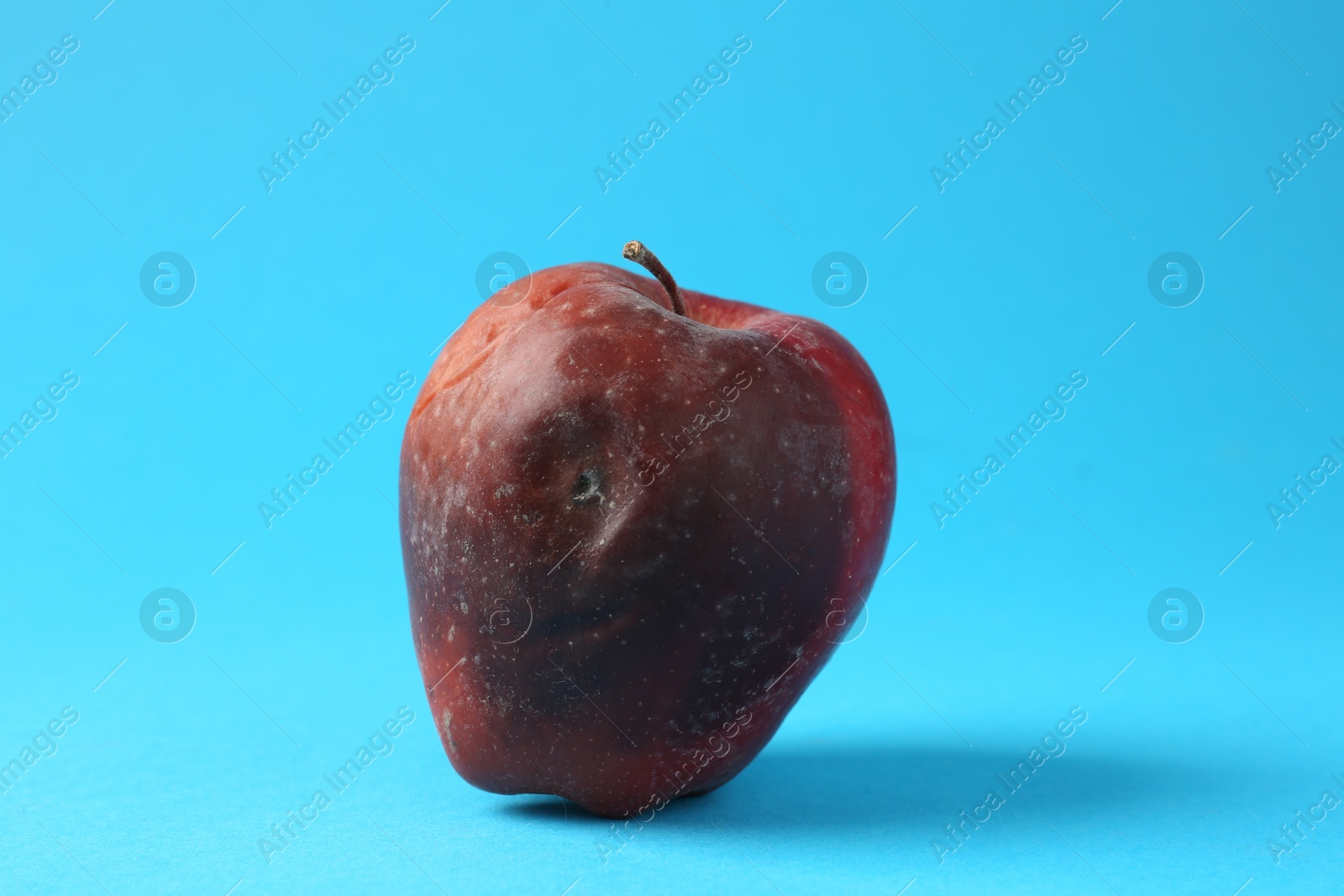 One rotten red apple on light blue background Photo of One rotten red apple on light blue background