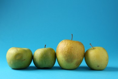 Photo of Damaged green apples on light blue background. Space for text