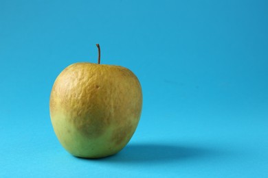 Photo of One rotten green apple on light blue background. Space for text