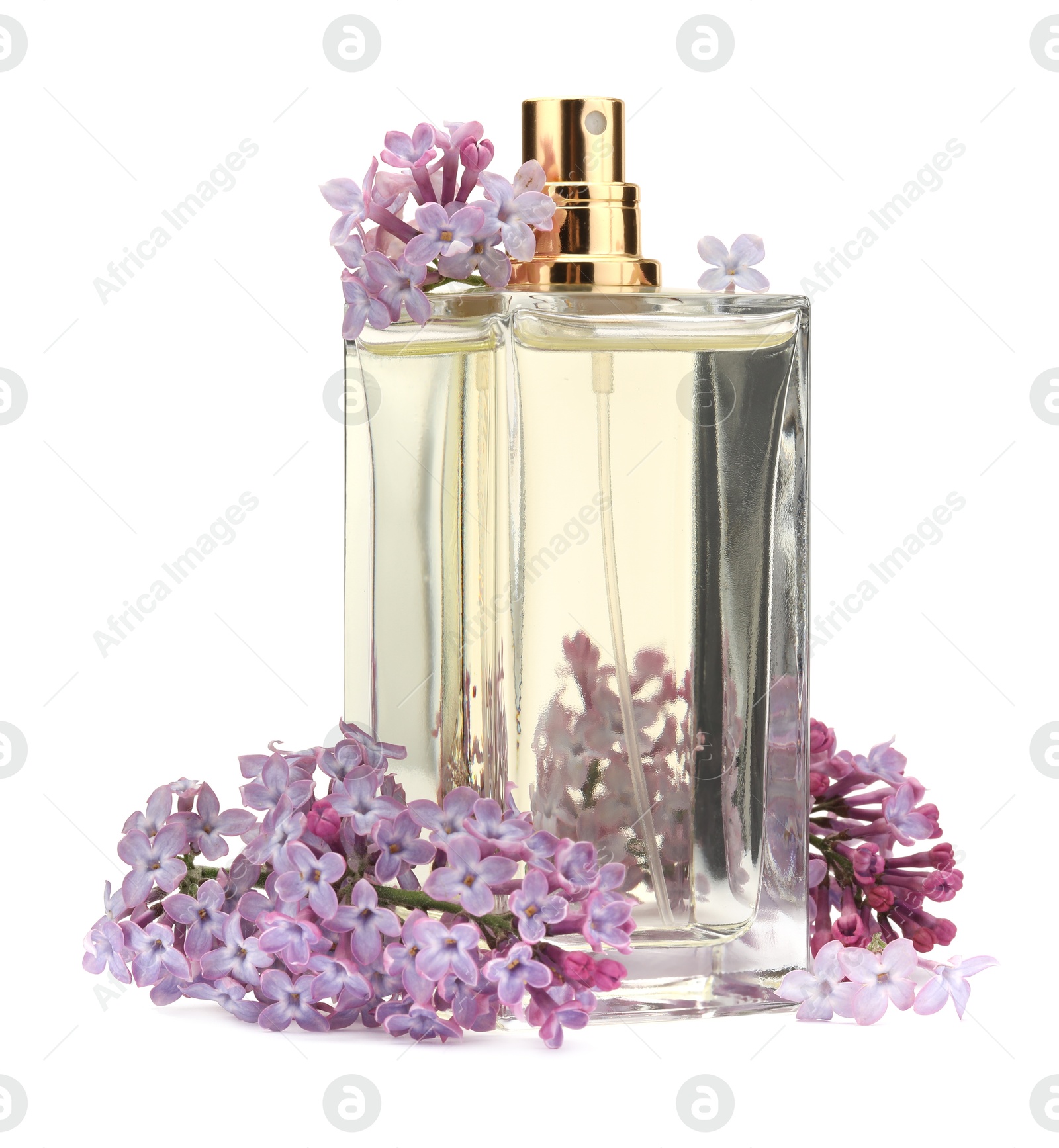 Luxury perfume and beautiful lilac flowers isolated on white Photo of Luxury perfume and beautiful lilac flowers isolated on white