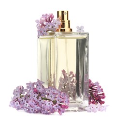 Photo of Luxury perfume and beautiful lilac flowers isolated on white
