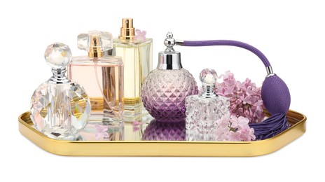 Photo of Luxury perfumes and beautiful lilac flowers isolated on white