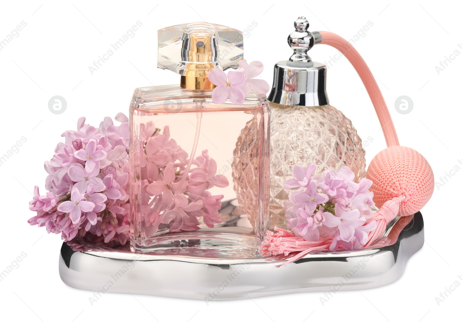 Luxury perfumes and beautiful lilac flowers isolated on white Photo of Luxury perfumes and beautiful lilac flowers isolated on white