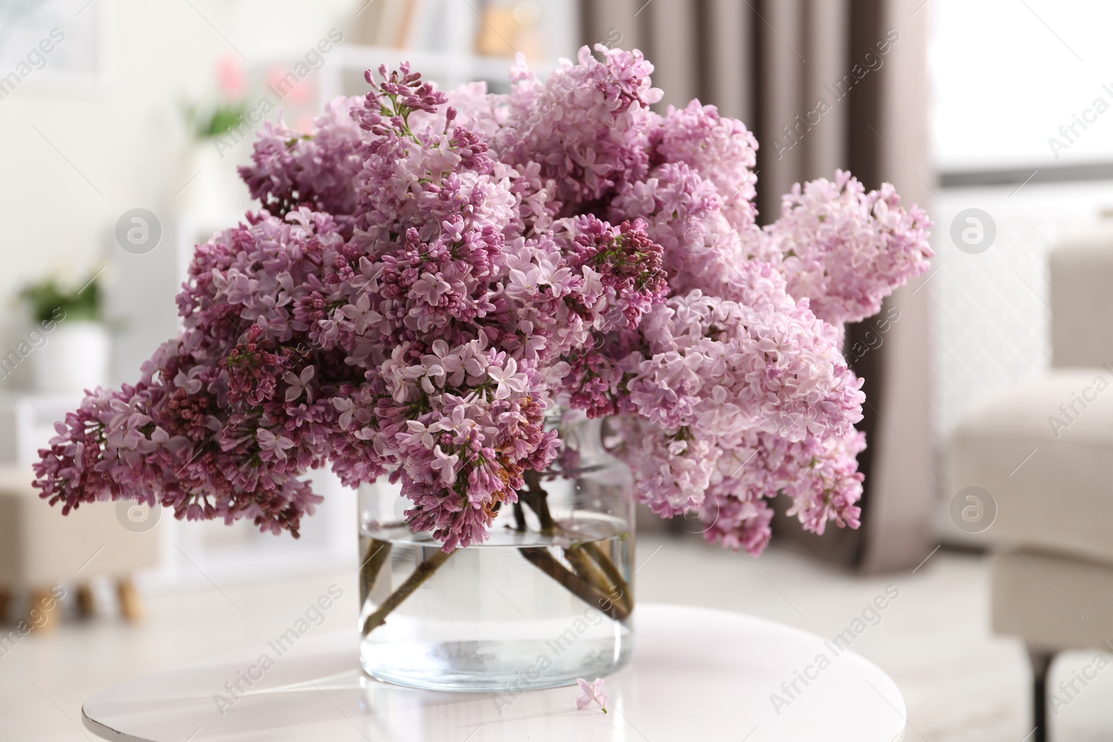 Beautiful lilac flowers in vase on table indoors Photo of Beautiful lilac flowers in vase on table indoors