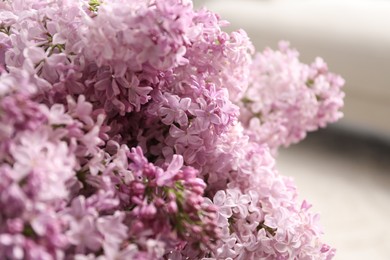 Photo of Beautiful lilac flowers on blurred background, closeup