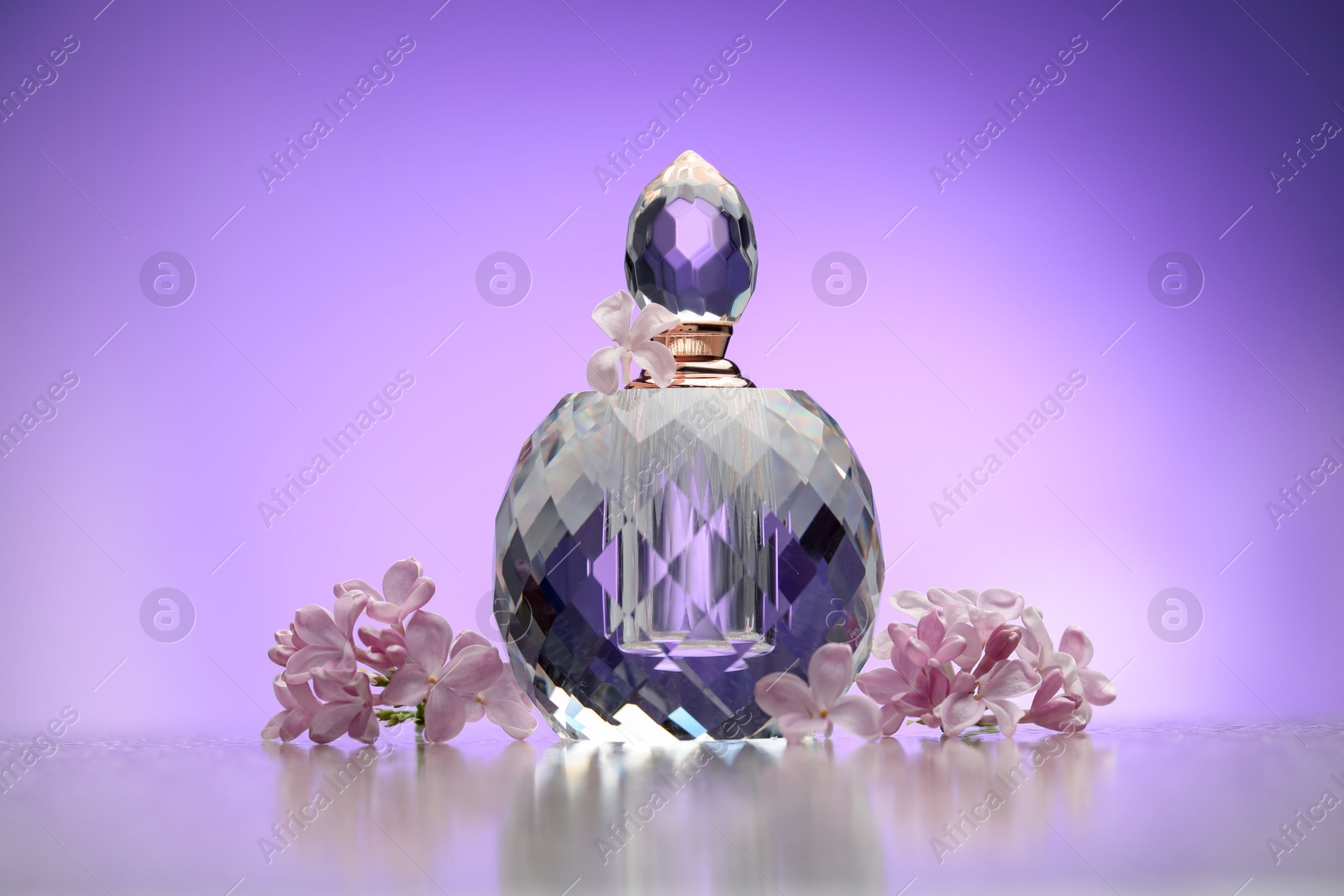 Beautiful lilac flowers and perfume on mirror surface against violet gradient background Photo of Beautiful lilac flowers and perfume on mirror surface against violet gradient background