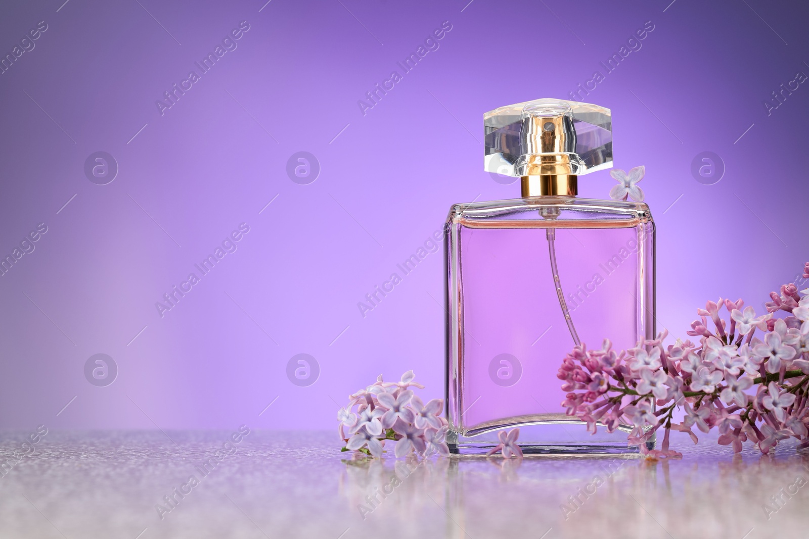 Beautiful lilac flowers and perfume on mirror surface against violet gradient background, space for text Photo of Beautiful lilac flowers and perfume on mirror surface against violet gradient background, space for text