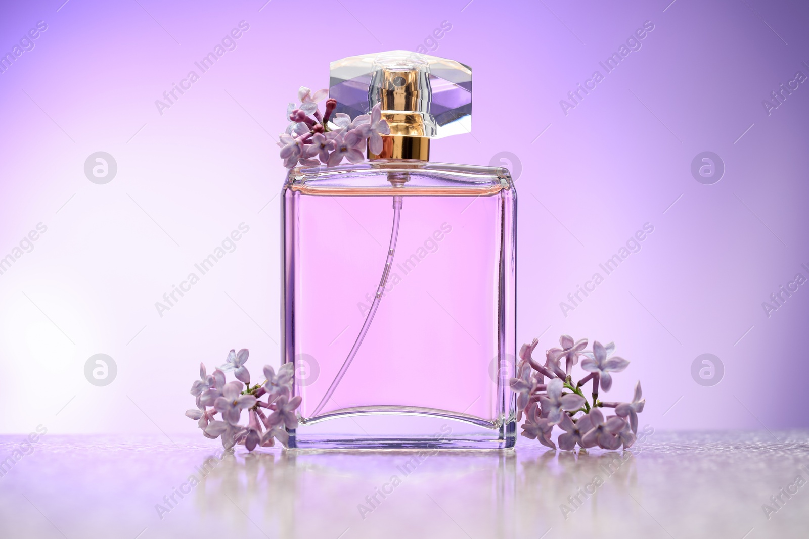 Beautiful lilac flowers and perfume on mirror surface against violet gradient background Photo of Beautiful lilac flowers and perfume on mirror surface against violet gradient background
