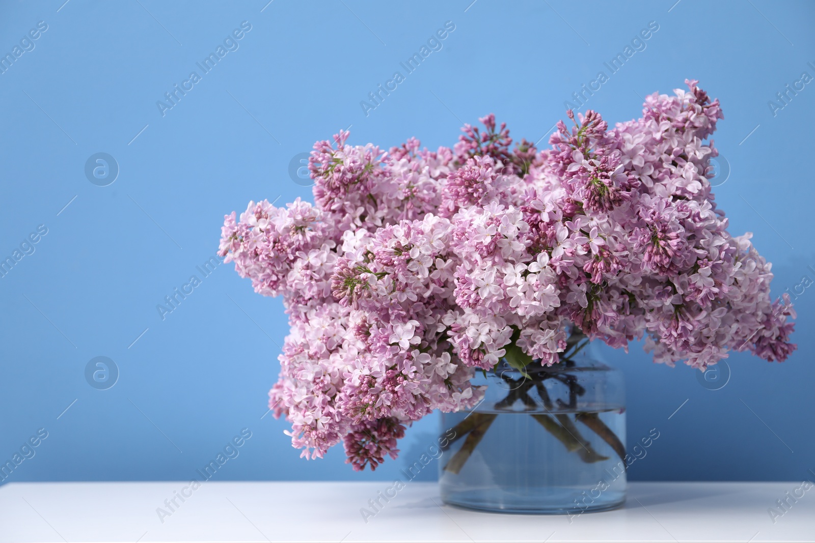 Beautiful lilac flowers in glass vase on white table near light blue wall, space for text Photo of Beautiful lilac flowers in glass vase on white table near light blue wall, space for text