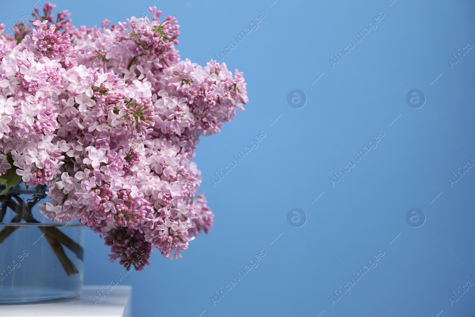 Beautiful lilac flowers in glass vase on table near light blue wall, space for text Photo of Beautiful lilac flowers in glass vase on table near light blue wall, space for text