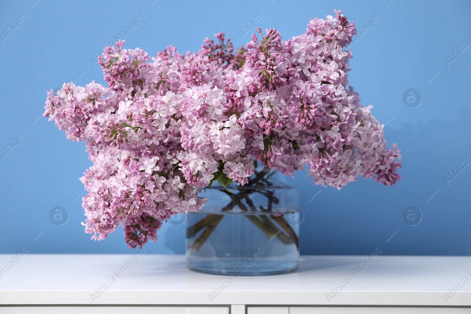 Beautiful lilac flowers in glass vase on cabinet near light blue wall Photo of Beautiful lilac flowers in glass vase on cabinet near light blue wall